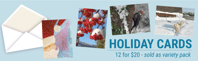 Holiday Cards - page banner